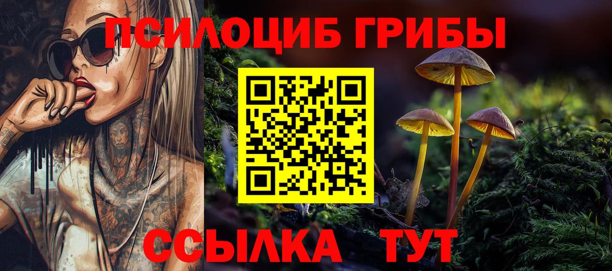Псилоцибиновые грибы прущие грибы  где купить наркотик  Артёмовский  Вход с VPN 